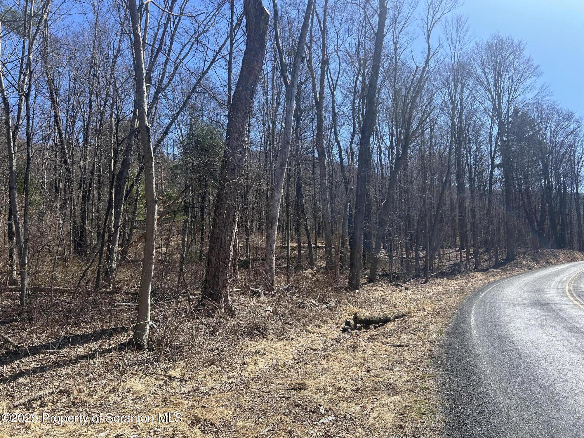 Ransom Township, Pennsylvania 18411, United States, ,Land,Active,93668