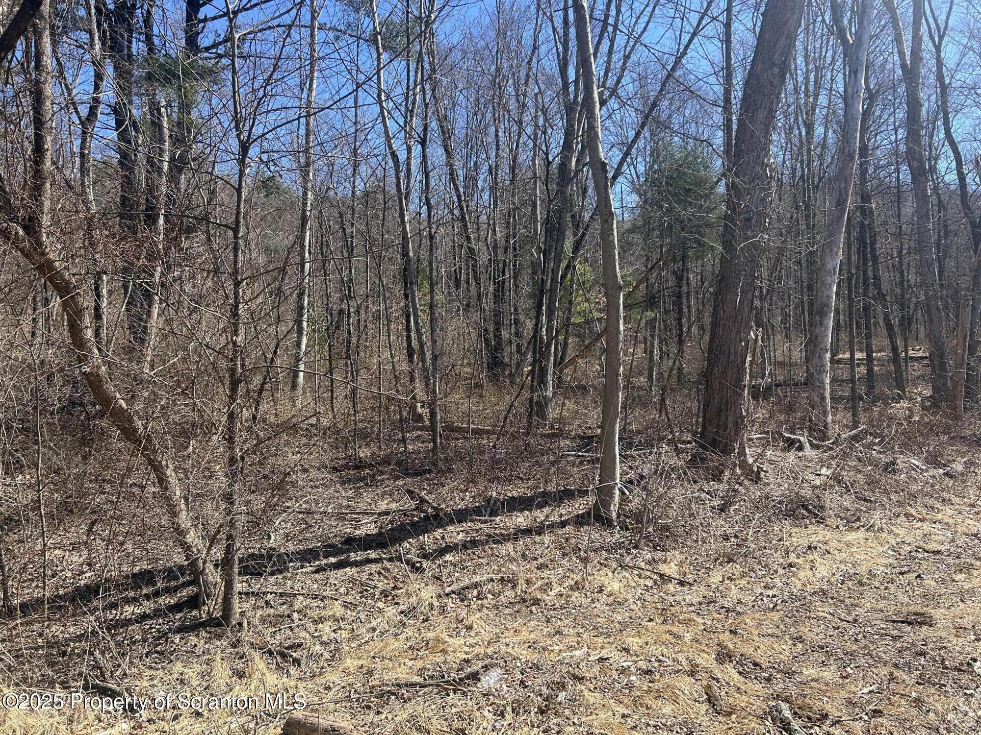 Ransom Township, Pennsylvania 18411, United States, ,Land,Active,93668