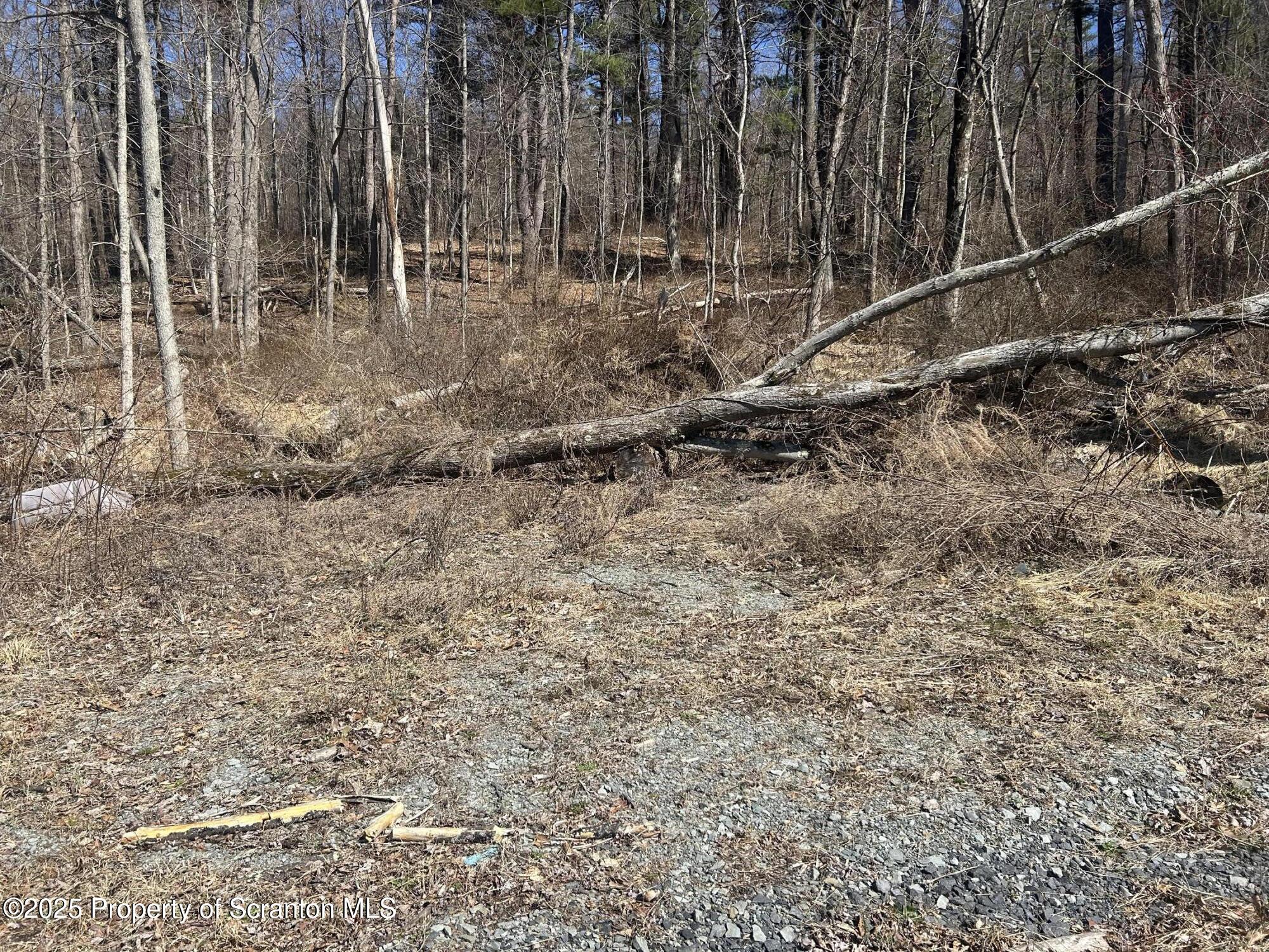 Ransom Township, Pennsylvania 18411, United States, ,Land,Active,93668