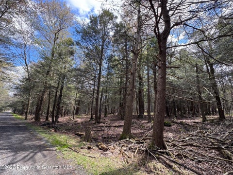 Photo for 18 Cherrywood Drive