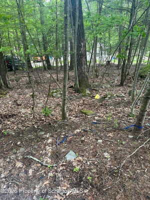 GLOWATCH DR, TUNKHANNOCK, PA 18657 - Image b085fdfb03aed071ae307d568e028874/2737726462