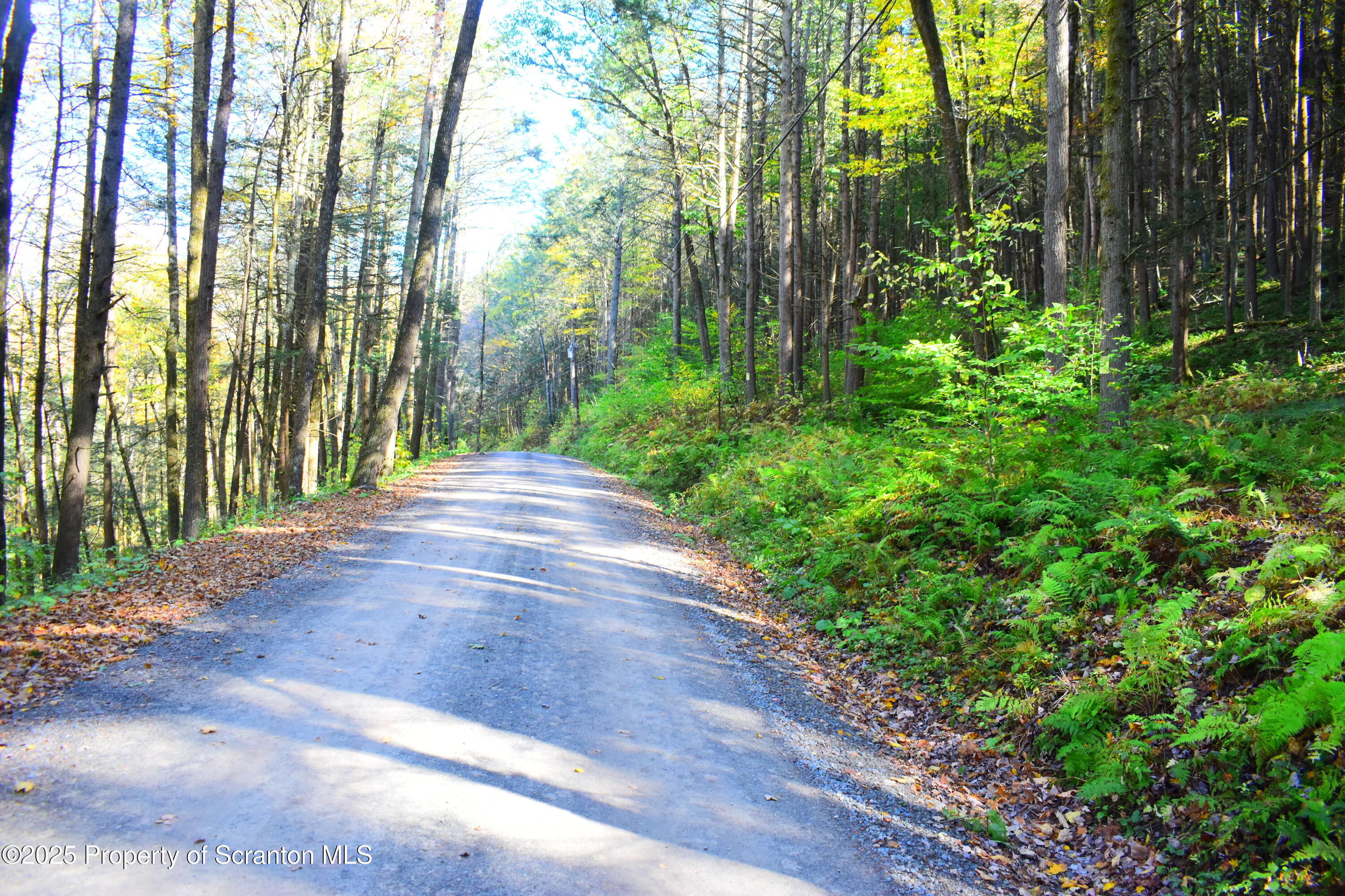 Road view
