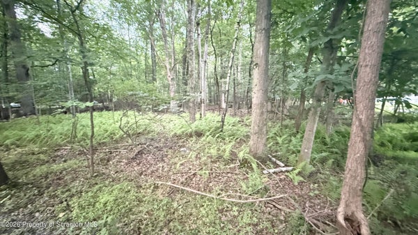 CROSS RD, EAST STROUDSBURG, PA 18302 - Image ddcc0d1ed1679232bbf2089875c4e8cd/194091089