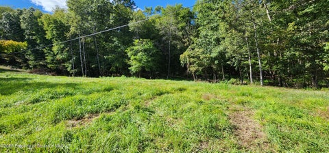 Photo for 629 Evergreen Drive