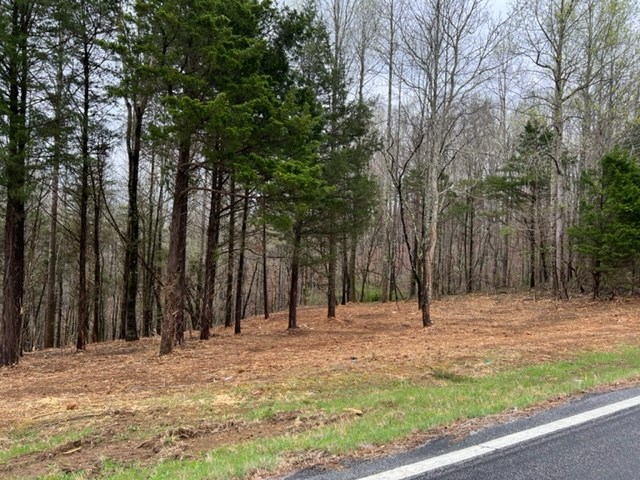 Lot 1 Willow Grove Hwy - Photo 2