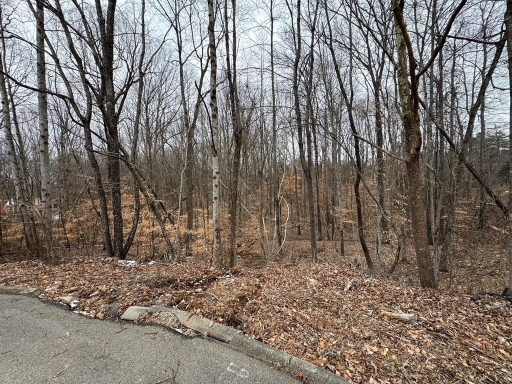 Photo 1 of 1 — Lot 14 Stonewall Dr, Cookeville, TN 38506