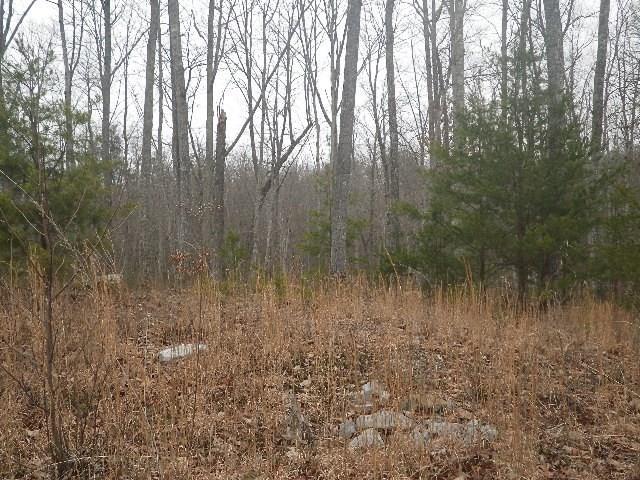 Photo 1 of 3 — lot 687 Jaguar Trail, Spencer, TN 38585