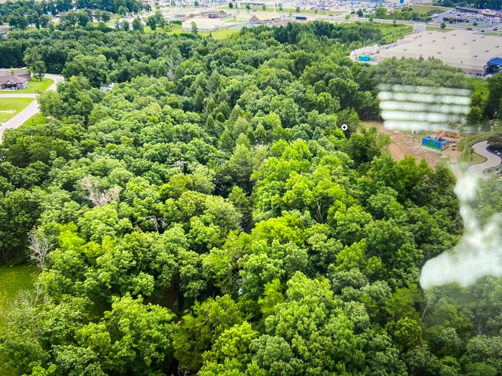 HWY 127 Hwy 127 N/Chuckles Pkwy