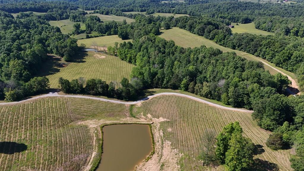 Tract#12 Legacy Trace