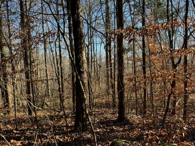 231.8 AC New Hope Rd