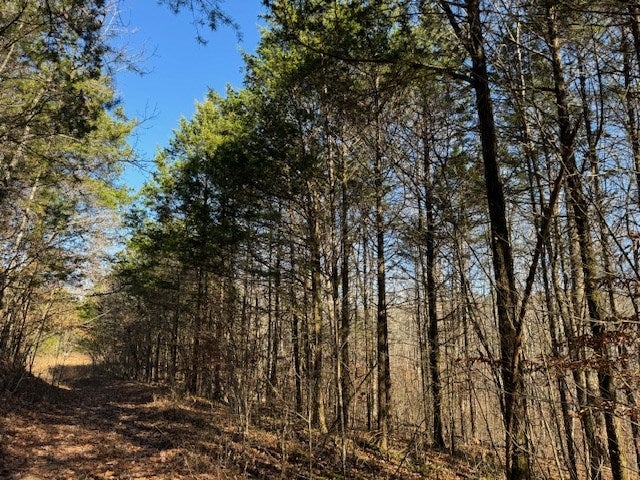 231.8 AC New Hope Rd - Photo 4