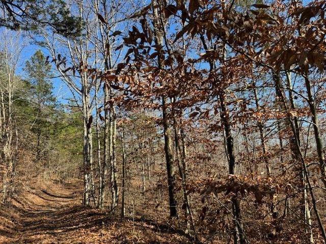 231.8 AC New Hope Rd - Photo 2