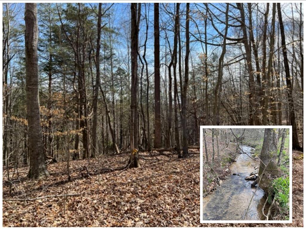 Photo 1 of 23 — 198 Turkey Town Road, Hilham, TN 38568