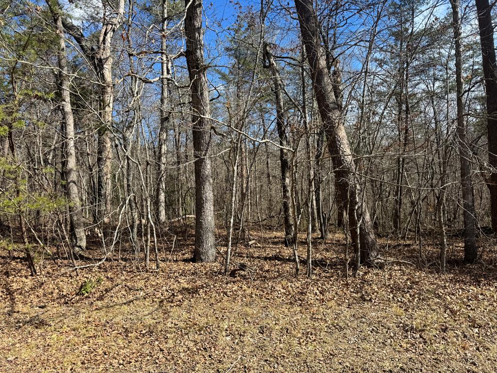 Photo 1 of 8 — 0 Cumberland Lakes Drive, Monterey, TN 38574