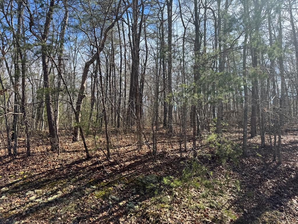 Photo 1 of 7 — 0 N Laurel Loop, Monterey, TN 38574