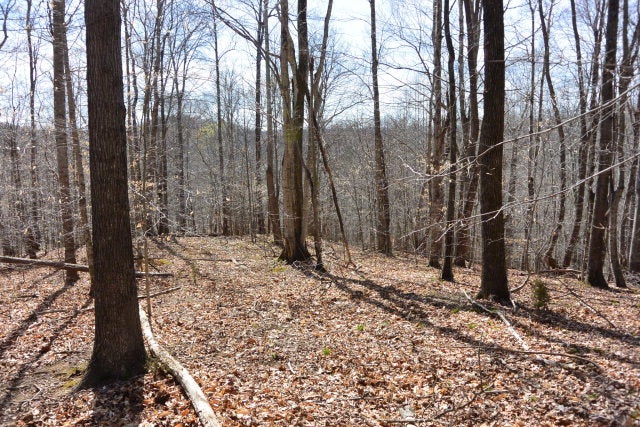 Lot 4 Trinity Lane - Photo 2
