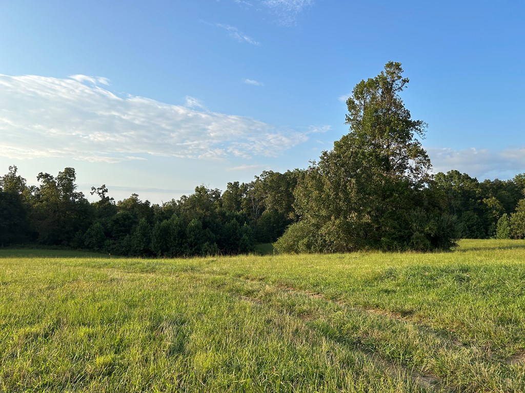 379 Christenson Road