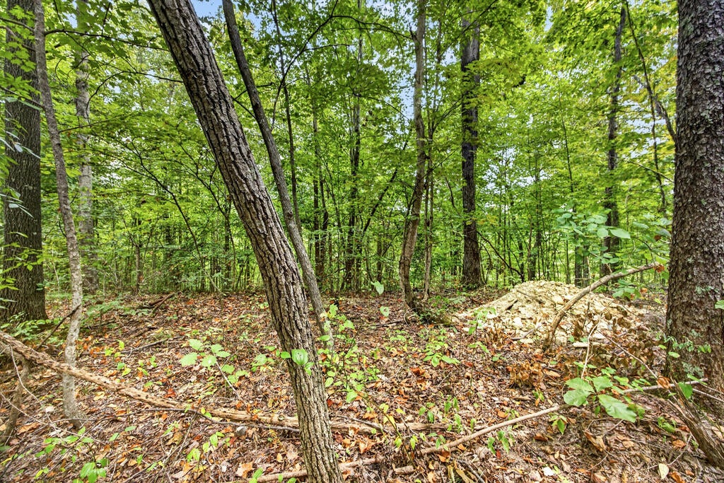Lot 29 Timber Ridge Lane- Phase Ii