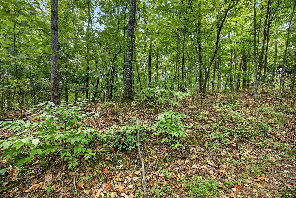 Lot 29 Timber Ridge Lane- Phase Ii