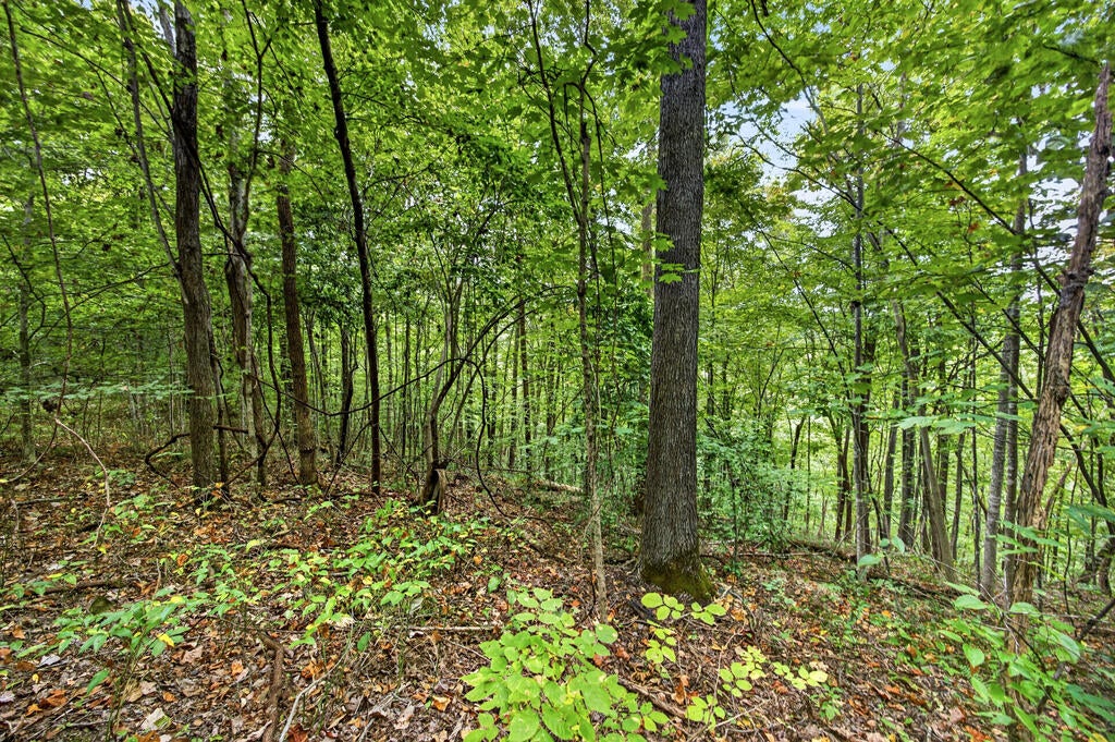 Lot 29 Timber Ridge Lane- Phase Ii