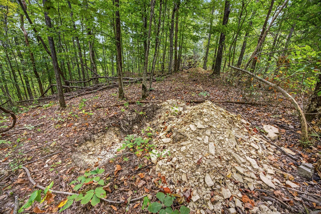 Lot 29 Timber Ridge Lane- Phase Ii