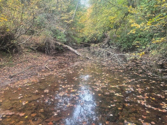 LOT 4 FREEDOM RIDGE LN, CROSSVILLE, TN 38572 - Image 091e9bfc7ee2a9bbbd8b1ed7d1193b65/4261340251