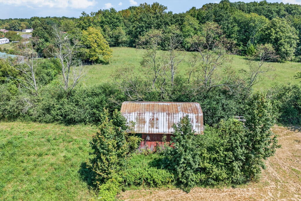 1413 Hulon Ferrell Rd - Photo 3