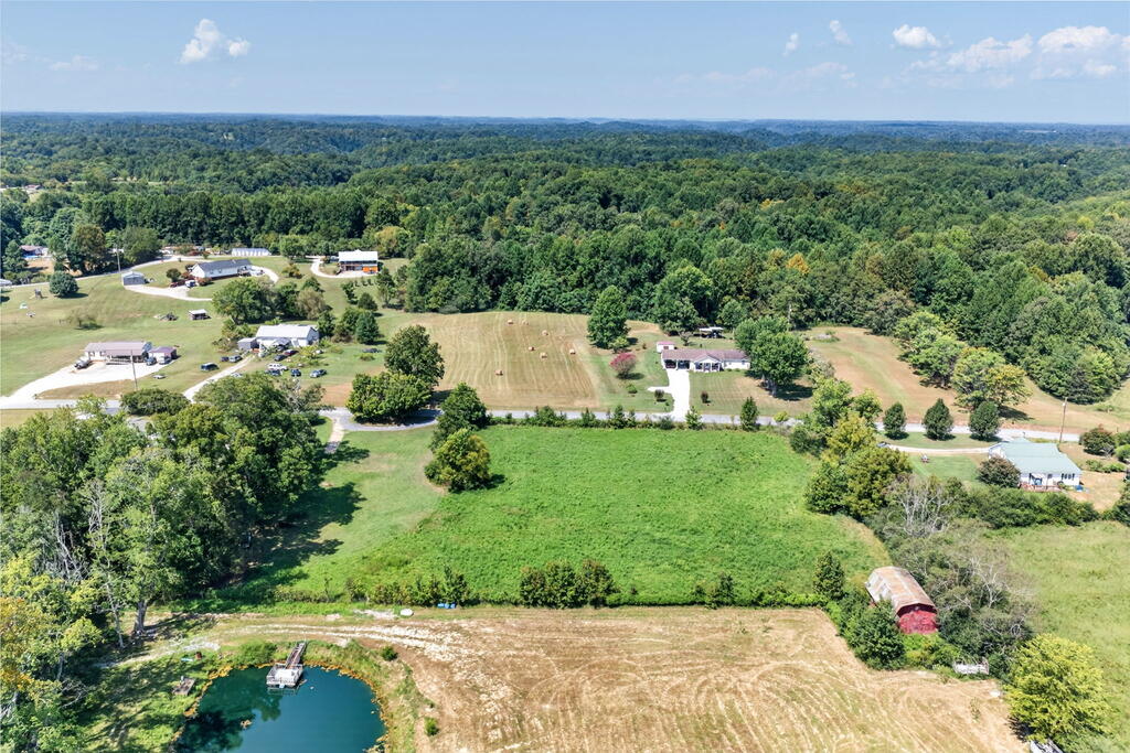 1413 Hulon Ferrell Rd - Photo 4