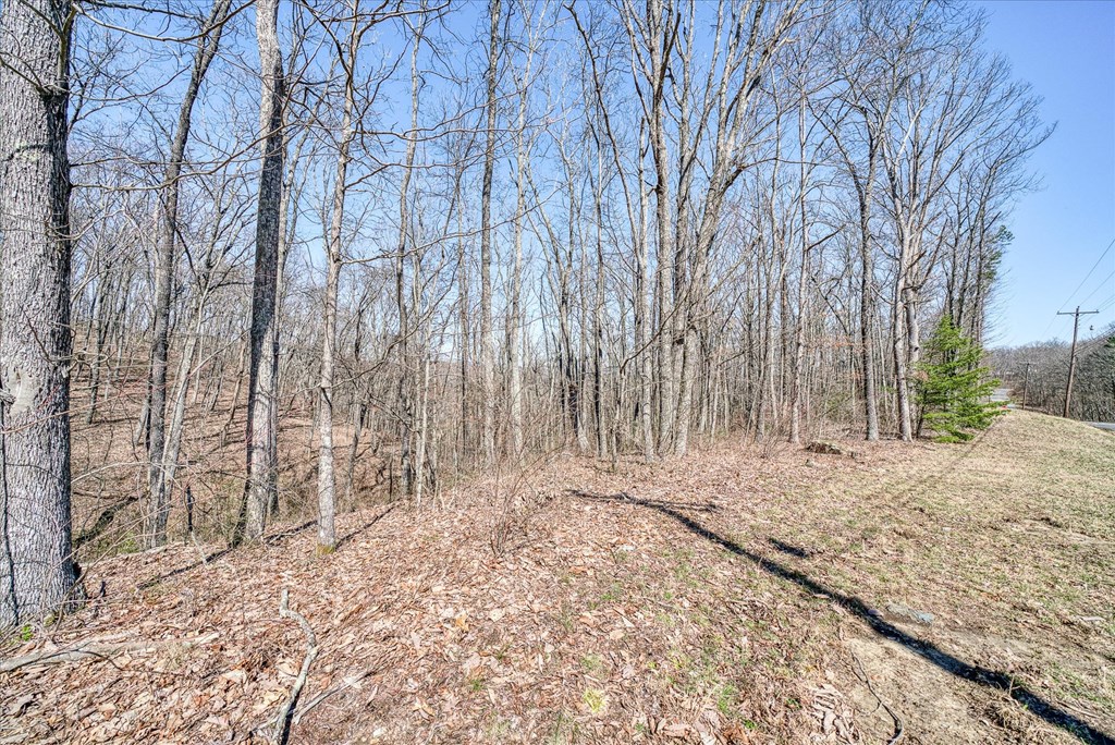 0 Lots 734 & 735 Renegade Pkwy