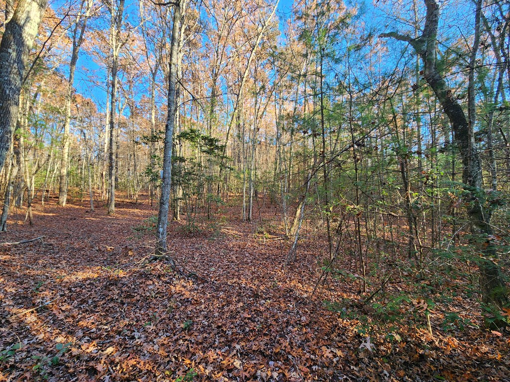 Lot 27 Cliffhouse Way