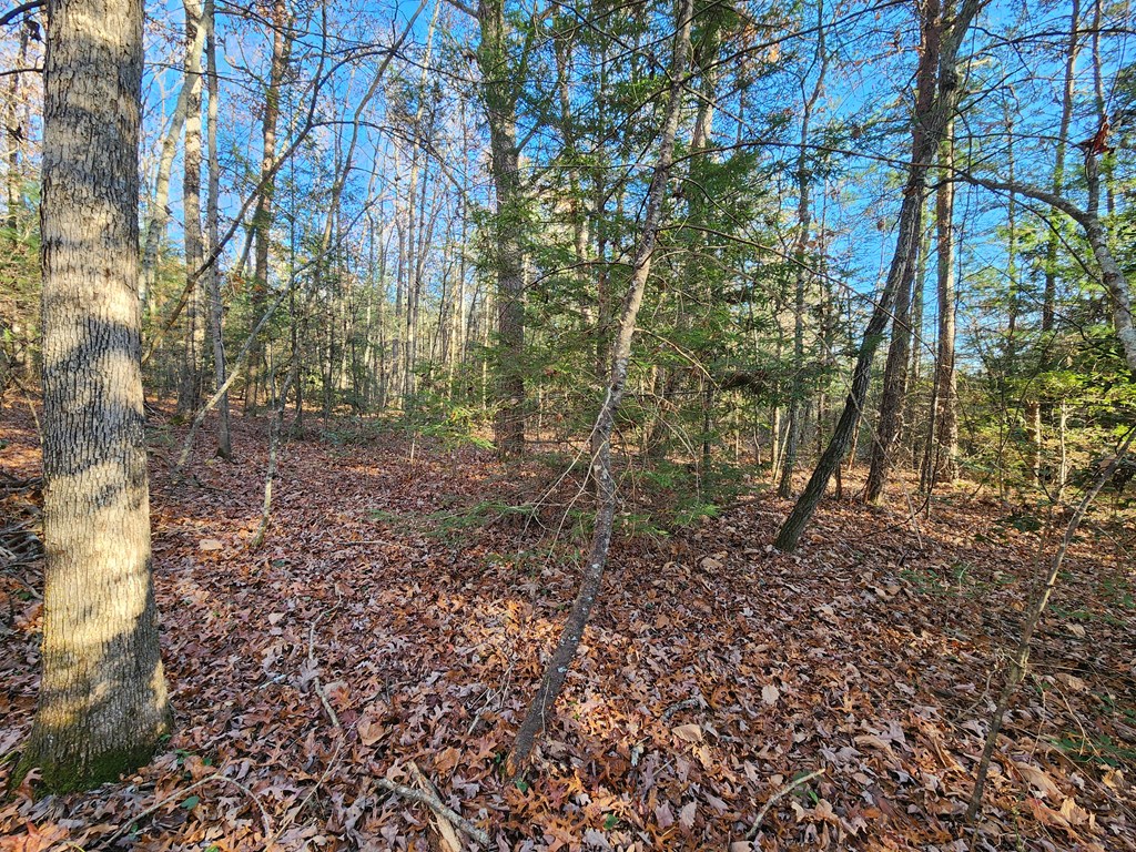 Lot 27 Cliffhouse Way