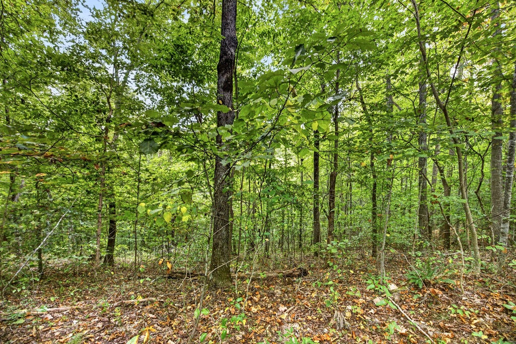 Lot 26 Timber Ridge Lane- Phase Ii