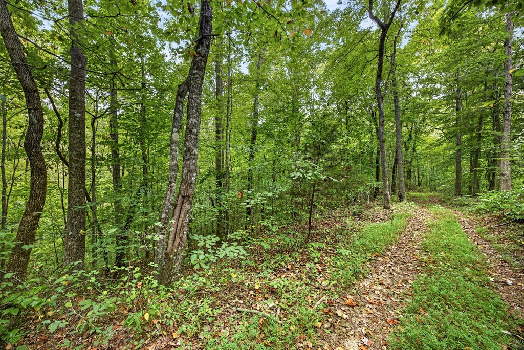 Lot 26 Timber Ridge Lane- Phase Ii