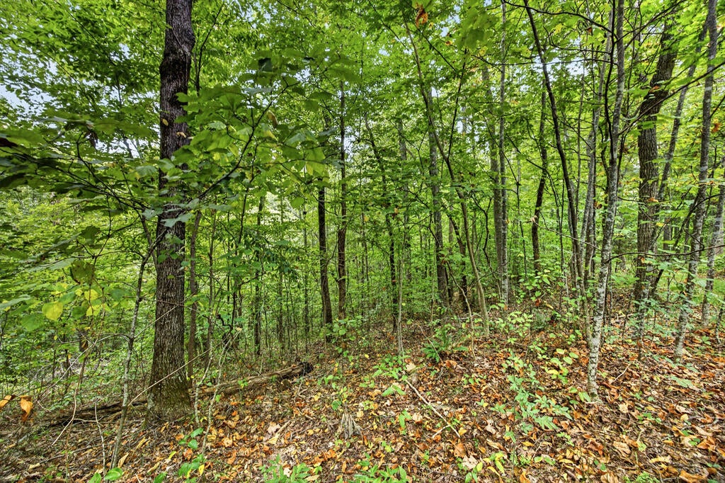 Lot 26 Timber Ridge Lane- Phase Ii