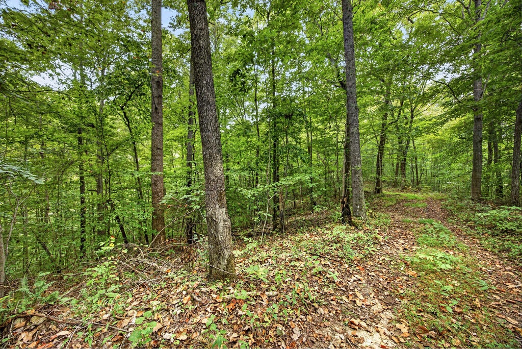 Lot 26 Timber Ridge Lane- Phase Ii