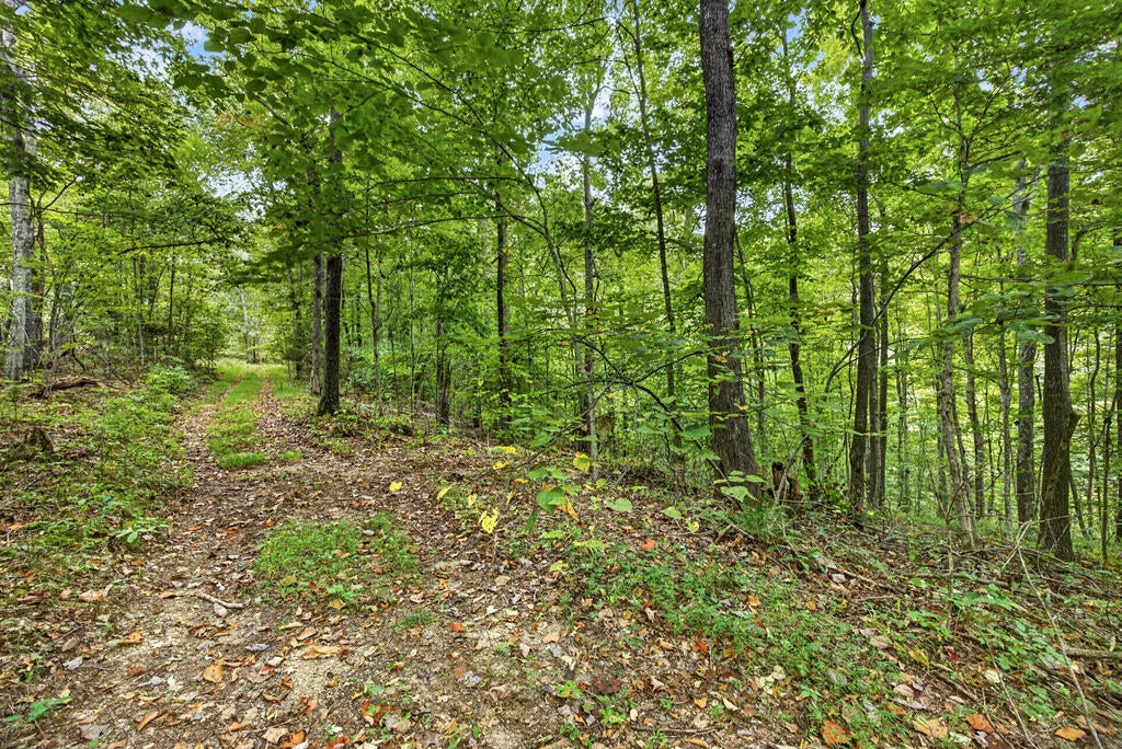 Lot 25 Timber Ridge Lane- Phase Ii