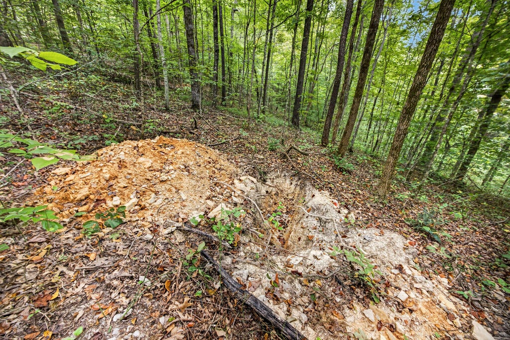 Lot 25 Timber Ridge Lane- Phase Ii