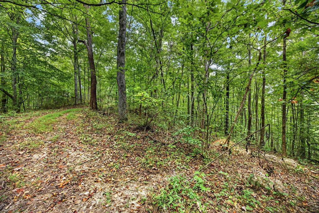 Lot 25 Timber Ridge Lane- Phase Ii