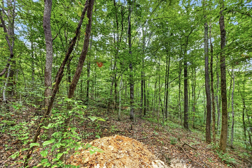 Lot 25 Timber Ridge Lane- Phase Ii
