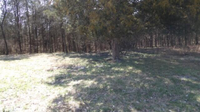1586 Needmore Road