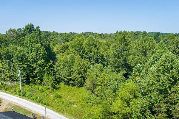 129 LESTER LEDBETTER LN, HILHAM, TN 38568 - Image 1e6ea1b7ec0a5231f246e2d928c3fa7c/2576347260