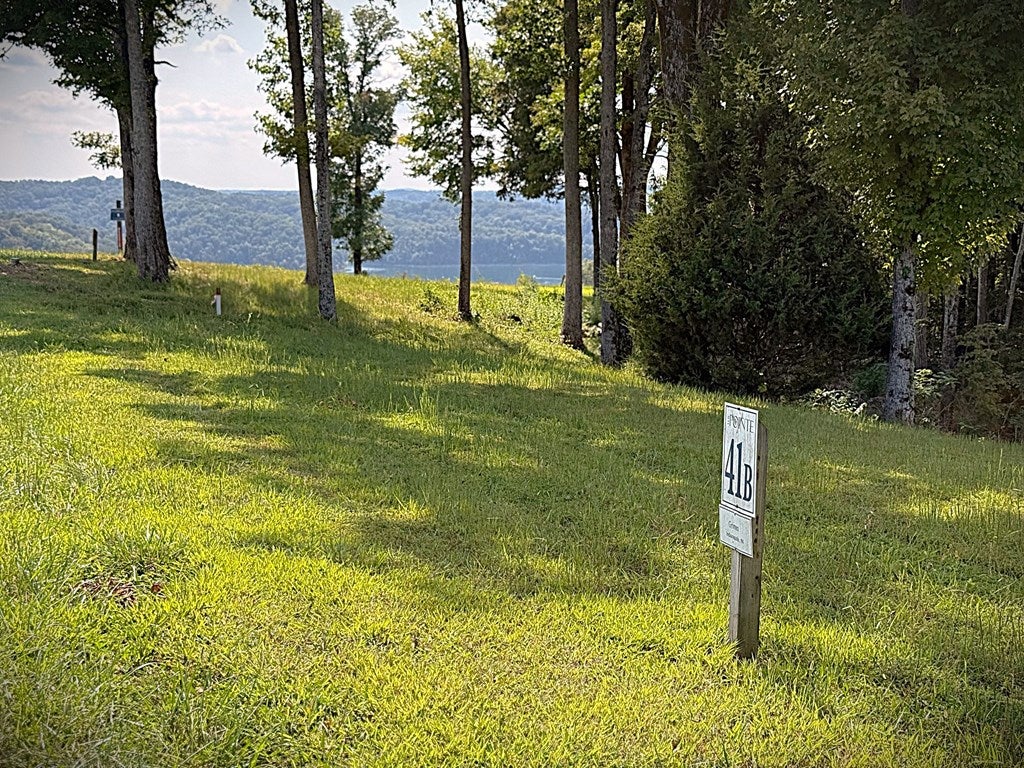 41B Bald Eagle Rd - Photo 4