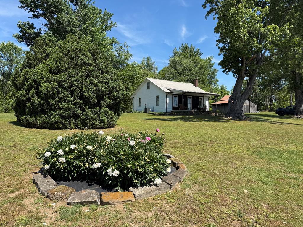 Main View
