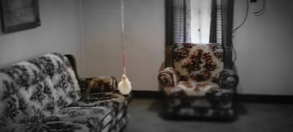 13323 Highway 70 North