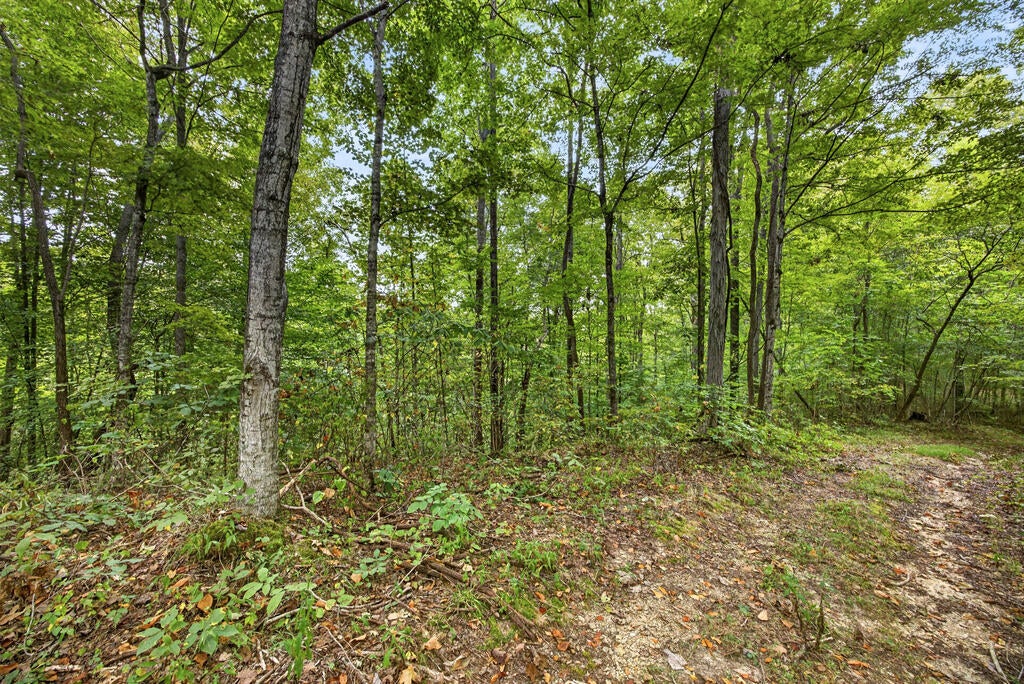 Lot 32 Timber Ridge Lane- Phase Ii