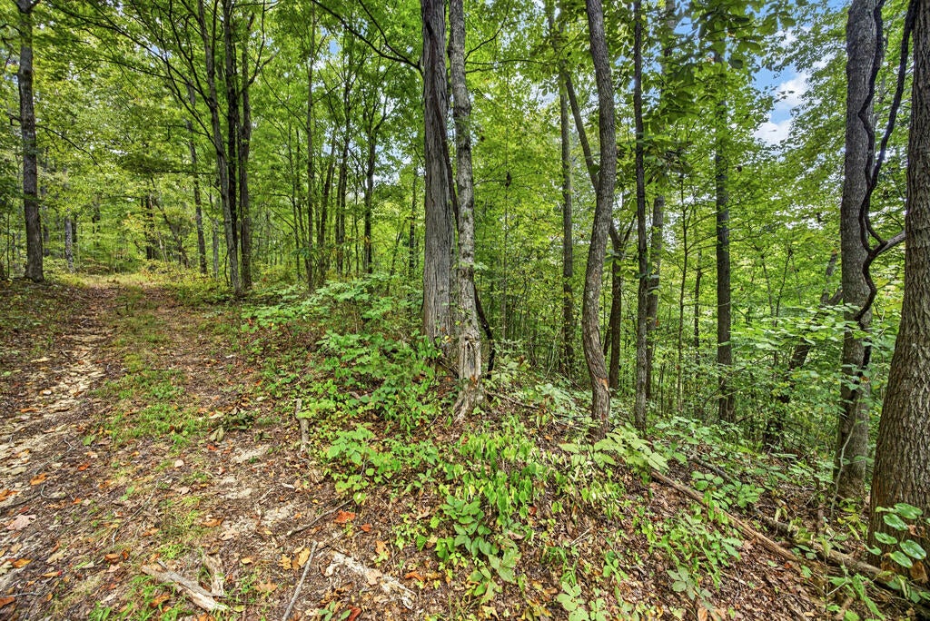 Lot 32 Timber Ridge Lane- Phase Ii