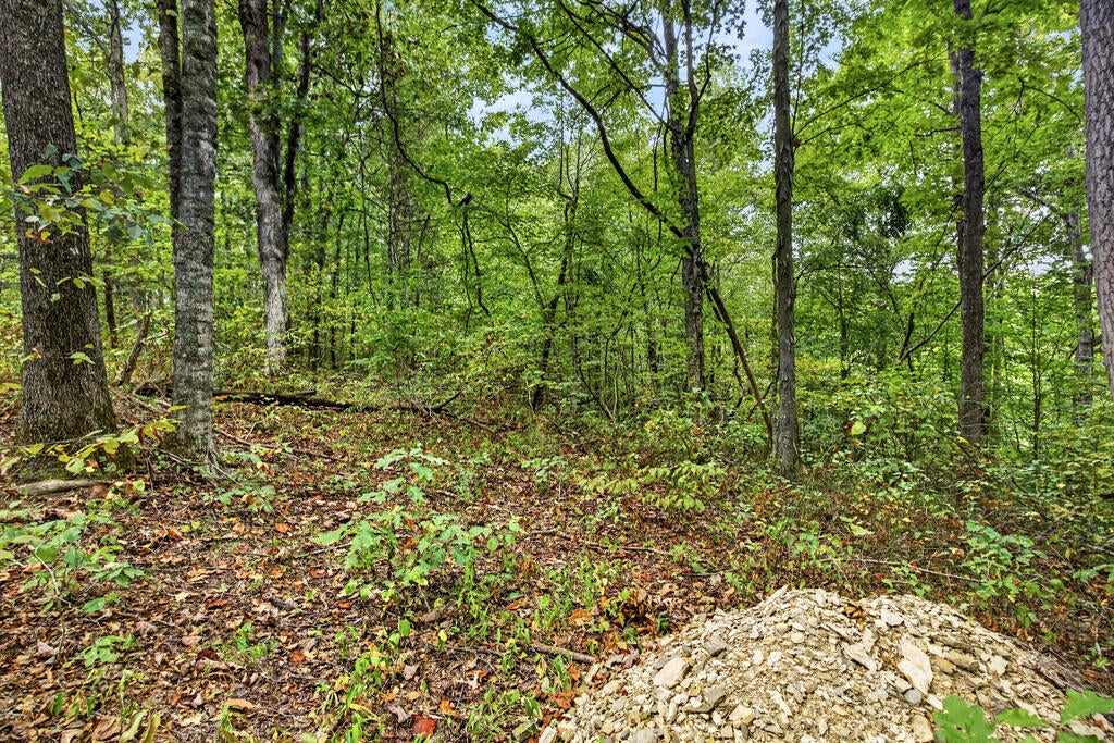 Lot 32 Timber Ridge Lane- Phase Ii