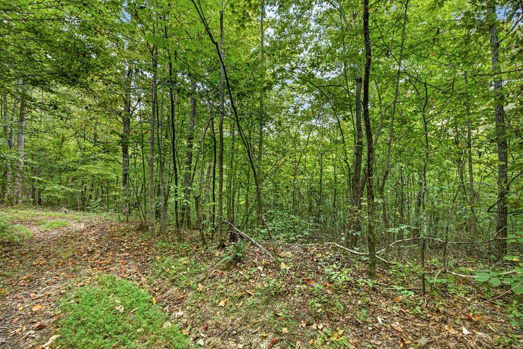 Lot 32 Timber Ridge Lane- Phase Ii