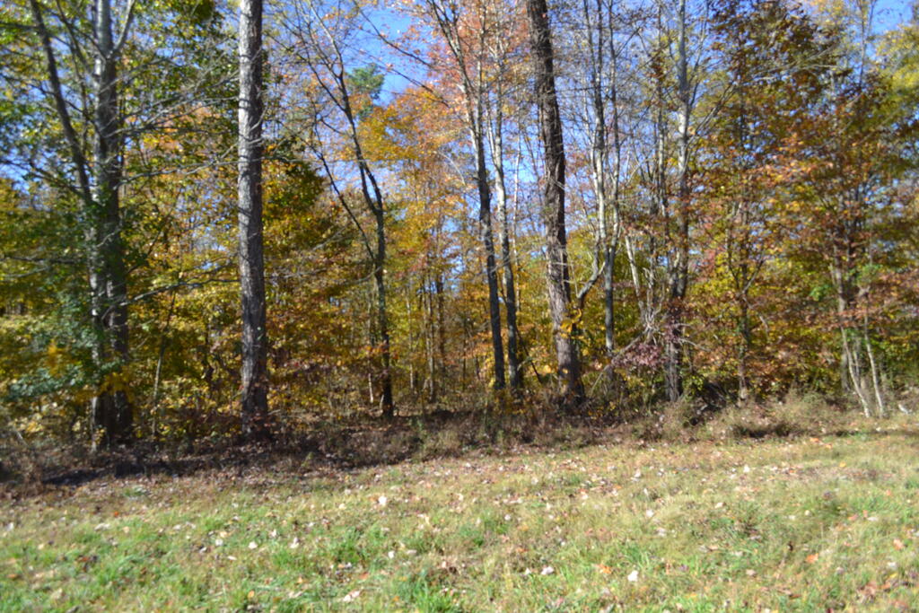 158B Nature Trail Lane