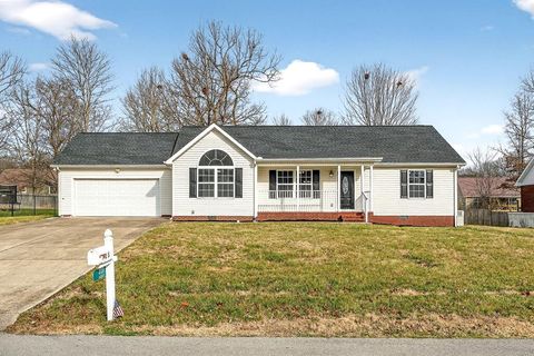 325 Indian Springs Cir Manchester TN 37355